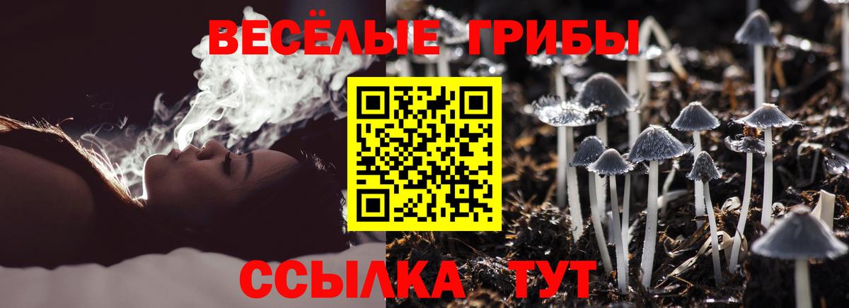 Галлюциногенные грибы ЛСД Фрязино