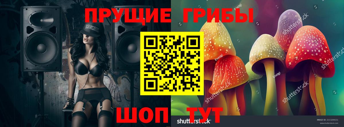 Фрязино  Галлюциногенные грибы ЛСД  Галлюциногенные грибы прущие грибы  Вход с VPN 