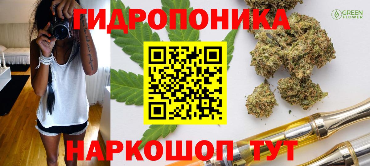 Фрязино  Шишки марихуана Amnesia  Бошки марихуана White Widow  Конопля семена  Вход с VPN  Марихуана LSD WEED 